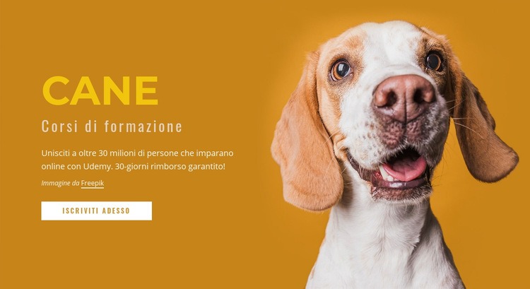 Come addestrare il tuo cane Modello HTML5