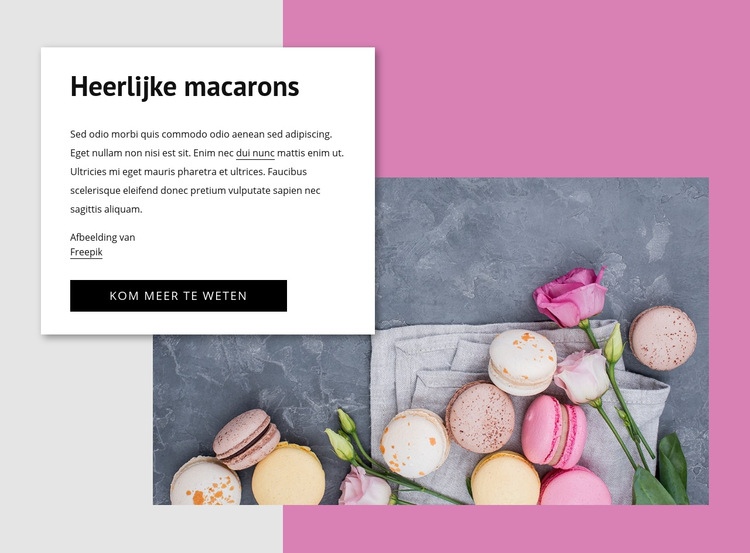 Heerlijke macarons Website mockup