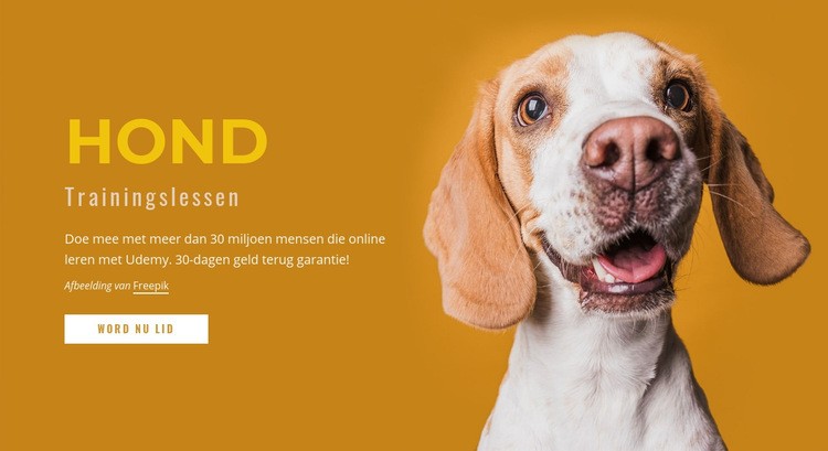Hoe u uw hond traint Website ontwerp