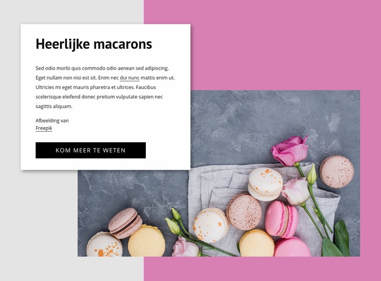 Heerlijke macarons Website ontwerp