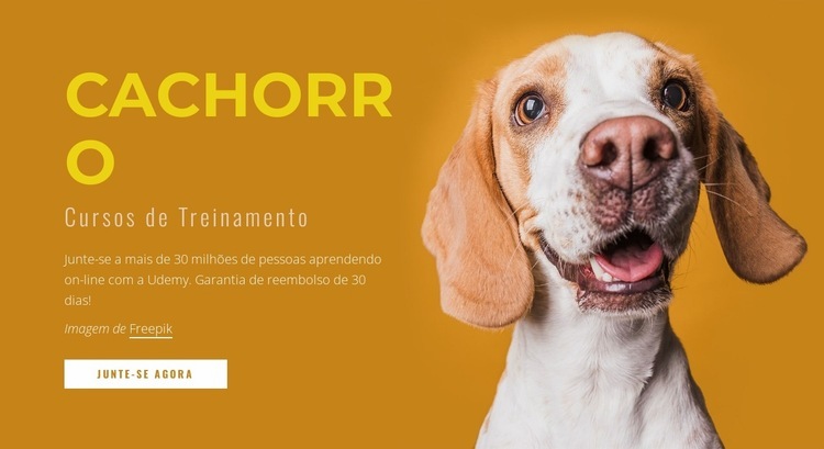 Como treinar seu cachorro Maquete do site