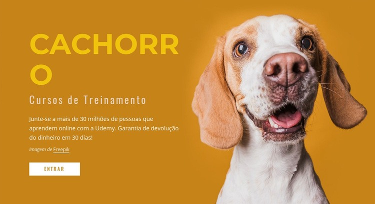 Como treinar seu cachorro Tema WordPress