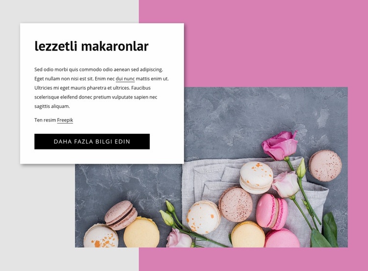 lezzetli makaronlar Web sitesi tasarımı