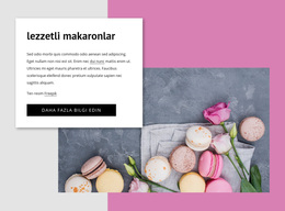 Lezzetli Makaronlar WordPress Teması