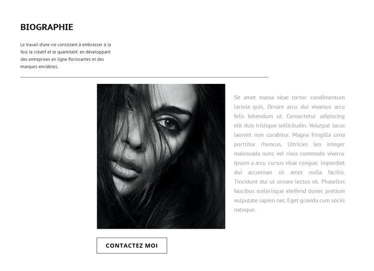 Biographie du graphiste Modèle de site Web