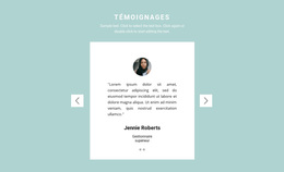 Deux Avis Dans Un Slider - Thème WordPress Personnalisé
