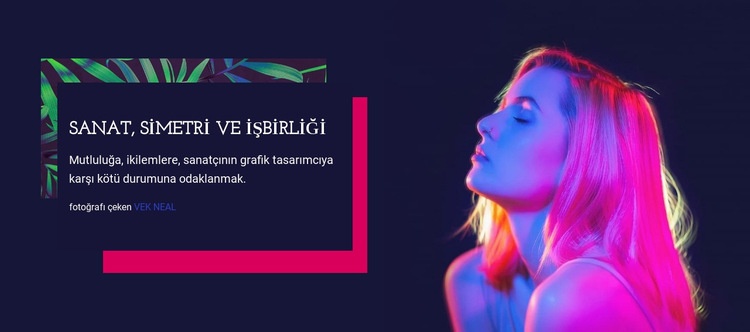 Sanat Fotoğrafçılığı: Vek Neal Web sitesi tasarımı