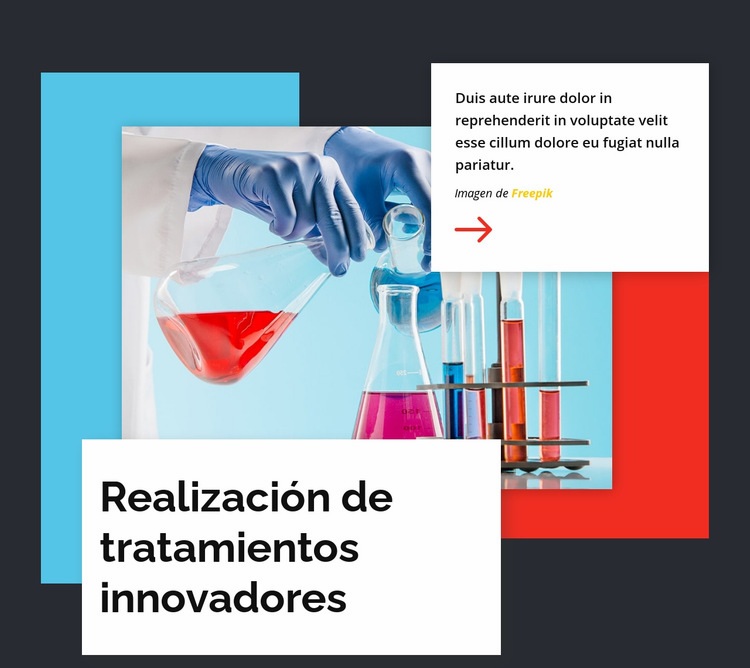 Realización de tratamientos innovadores Creador de sitios web HTML