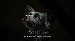 Psi Mluví – Konečný Motiv WordPress