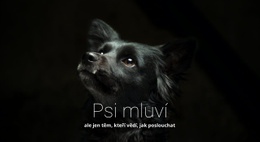 Psi Mluví – Víceúčelový Webový Design