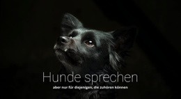 Exklusiver Website-Builder Für Hunde Sprechen