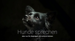 Hunde Sprechen - Mehrzweck-Webdesign