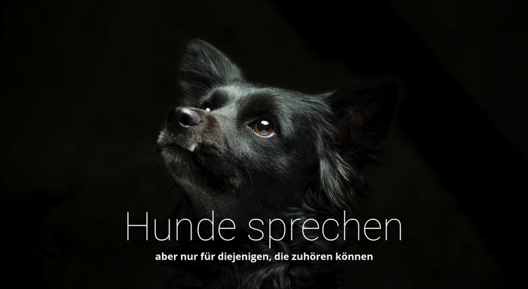 Hunde sprechen Website design