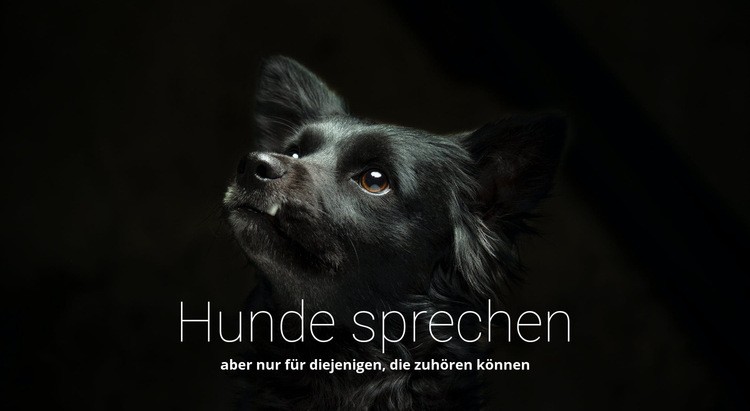 Hunde sprechen Website-Modell