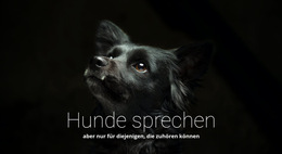 Hunde Sprechen - Integrierte CMS-Funktionalität