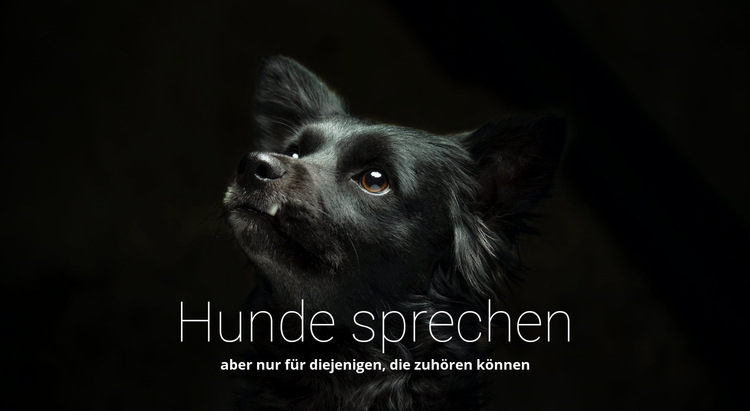 Hunde sprechen Website-Vorlage