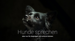 Hunde Sprechen – Ultimatives WordPress-Theme