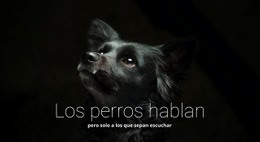 Los Perros Hablan - Builder HTML