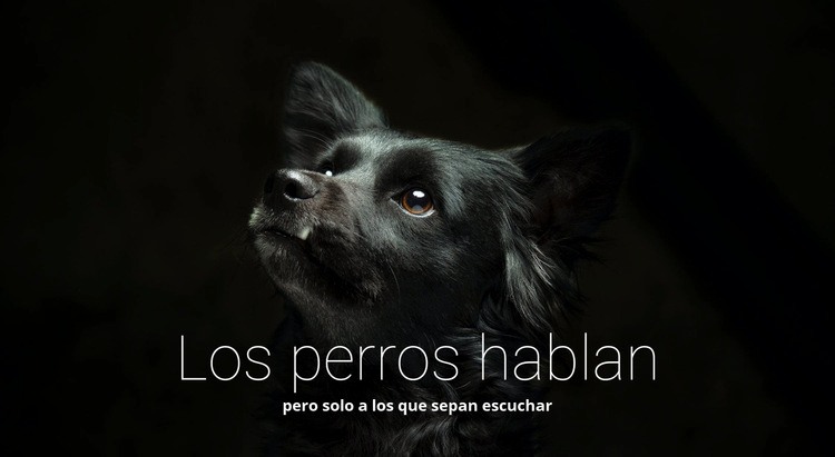 Los perros hablan Creador de sitios web HTML