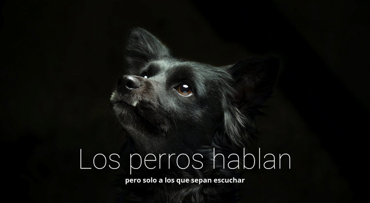 Los perros hablan Plantillas de creación de sitios web