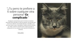 El Mejor Diseño De Sitio Web Para Historias De Mascotas