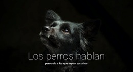 Los Perros Hablan - Diseño Web Polivalente