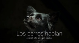 Los Perros Hablan: Maqueta De Sitio Web Sencilla