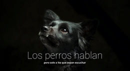 CSS Gratuito Para Los Perros Hablan