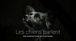 Créateur De Site Web Exclusif Pour Les Chiens Parlent