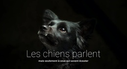 Les Chiens Parlent - Maquette De Site Web Simple