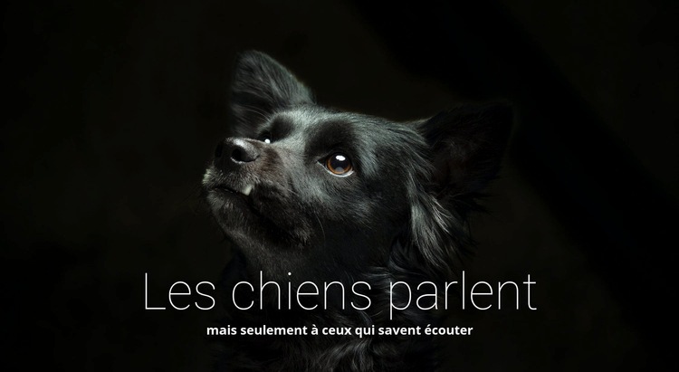 Les chiens parlent Maquette de site Web