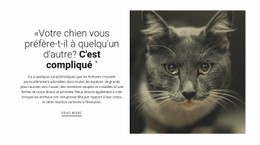 Histoires D'Animaux