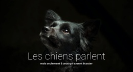 CSS Gratuit Pour Les Chiens Parlent