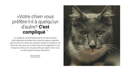 Histoires D'Animaux - Modèle HTML Réactif