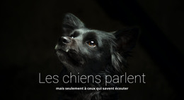 Les Chiens Parlent - Code Du Modèle HTML