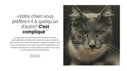 Histoires D'Animaux - Page De Destination Pour Mobile