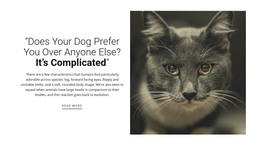 Pet'S Stories Responsive Website