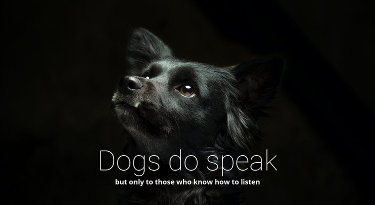 Dogs do speak Homepage Design