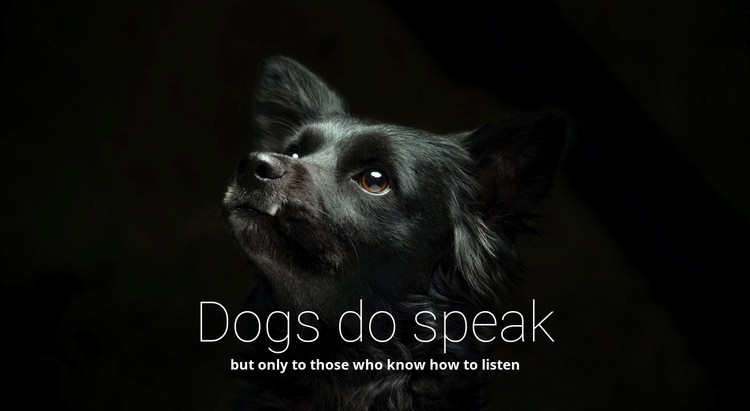 A kutyák beszélnek Html Weboldal készítő