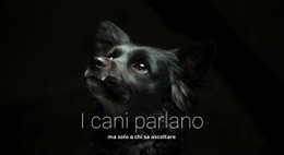 CSS Gratuito Per I Cani Parlano