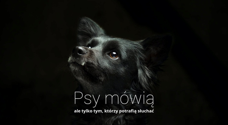 Psy mówią Szablony do tworzenia witryn internetowych