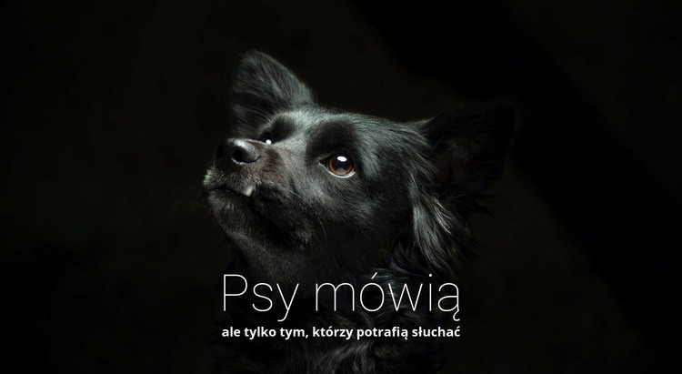 Psy mówią Kreator witryn internetowych HTML