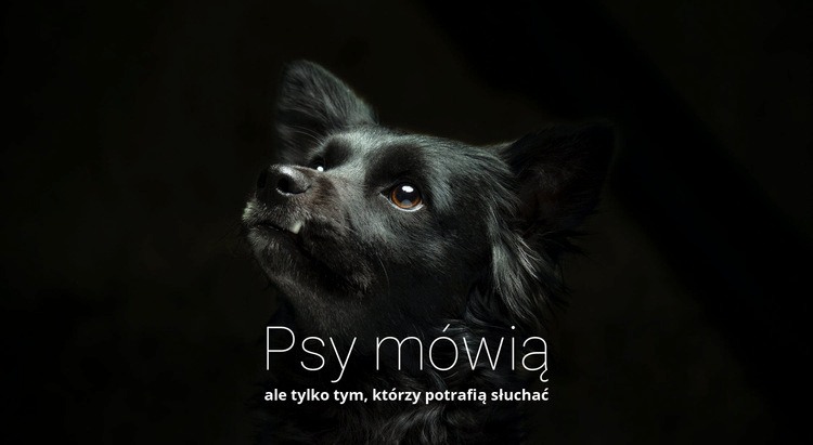 Psy mówią Makieta strony internetowej