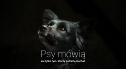 Psy Mówią - Ostateczny Motyw WordPress