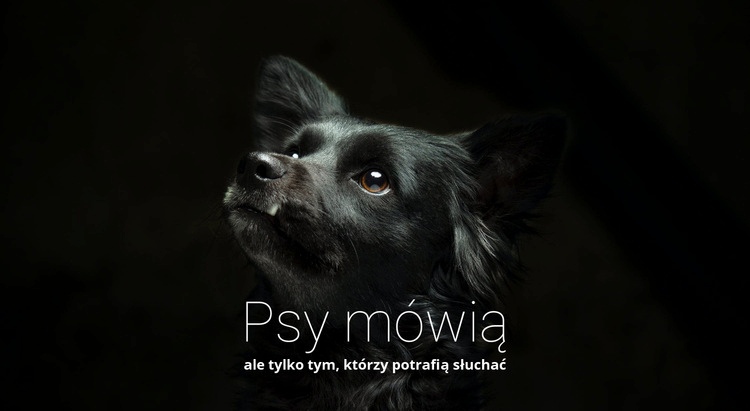 Psy mówią Projekt strony internetowej