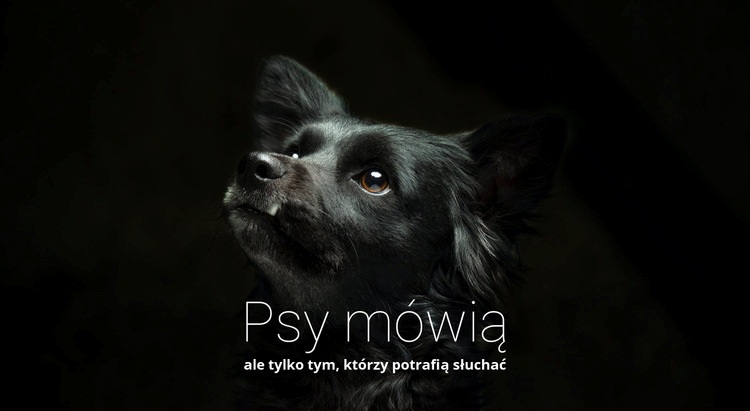 Psy mówią Wstęp