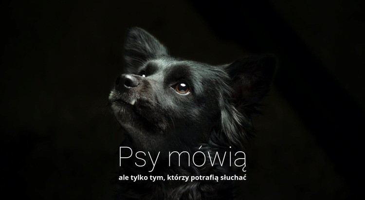 Psy mówią Szablon HTML5