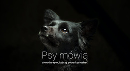 Psy Mówią - Wbudowana Funkcjonalność Cms