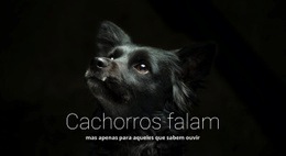 Cães Falam - Web Design Multifuncional