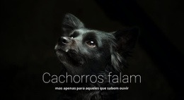 Modelo De Site Para Cães Falam